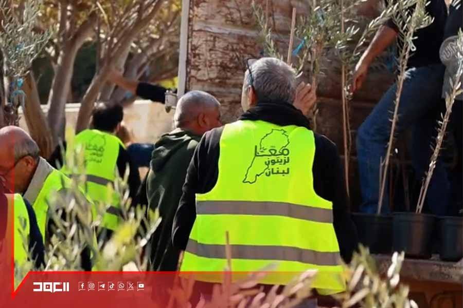 معًا لزيتون لبنان .. غرس اليوم أمل الغد