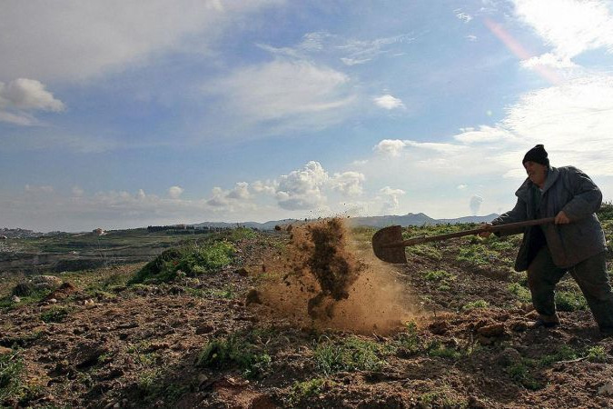 خطة وطنية طارئة لدعم المزارعين واستعادة الإنتاج الزراعي جنوبًا