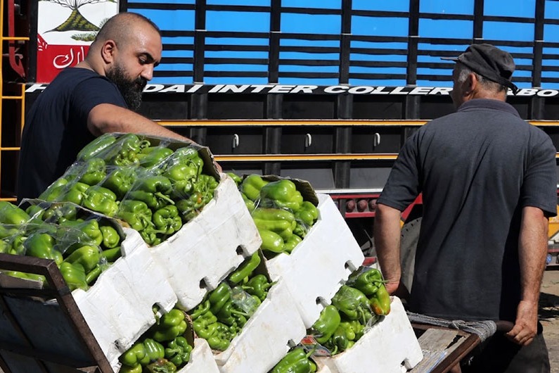 الأسعار تأكل التصحيح النسبي في الأجور