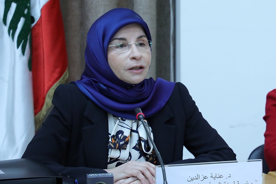 عناية عز الدين: حماية الأمن الغذائي في الجنوب تبدأ بحماية الأرض والمزارعين