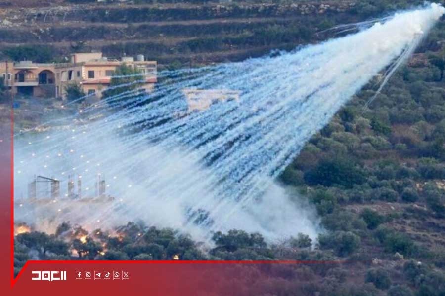من الشجر إلى الرماد... جريمة جديدة بحق الجنوب