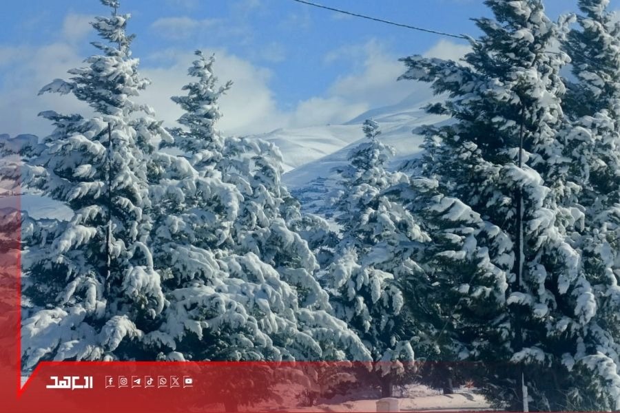 بالصور| بعلبك مكسوّة بالأبيض