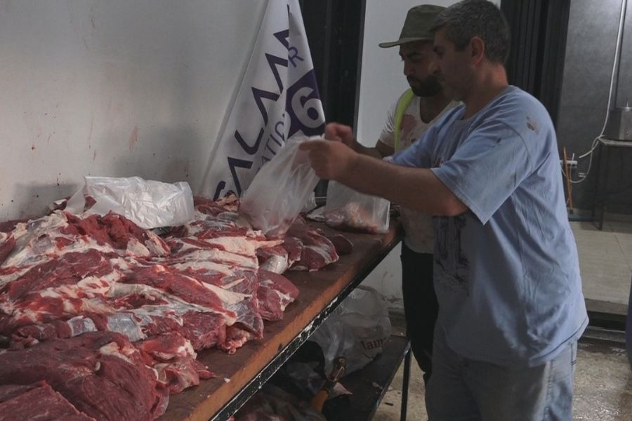 مبادرة إنسانية في البقاع الغربي: توزيع أضاحي العيد على 1500 عائلة نازحة