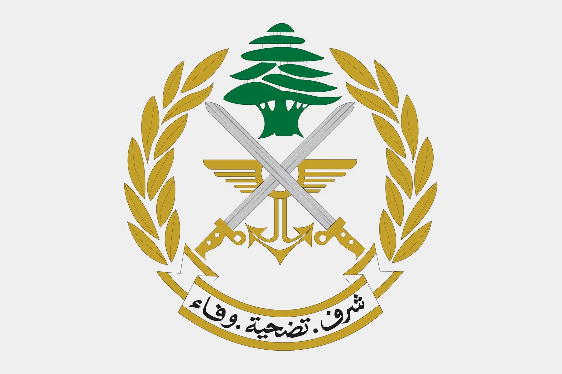 4 شهداء من الجيش اللبناني في غارات 