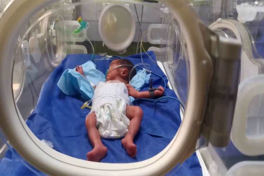 غزة .. حكاية الخدّج الناجين من مستشفى الشفاء  