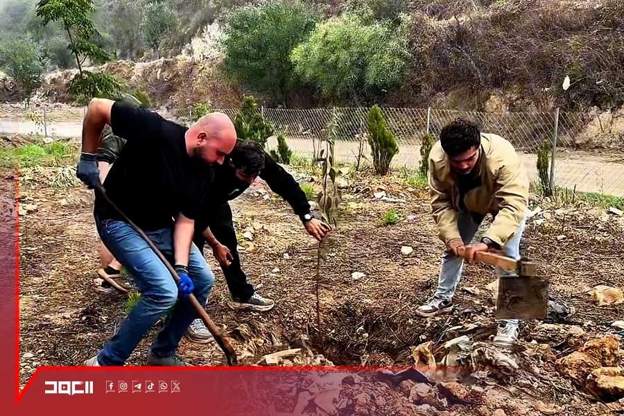 ردًا على اقتلاع العدو أشجار الجنوب... اطلاق حملة تشجير في كفرصير