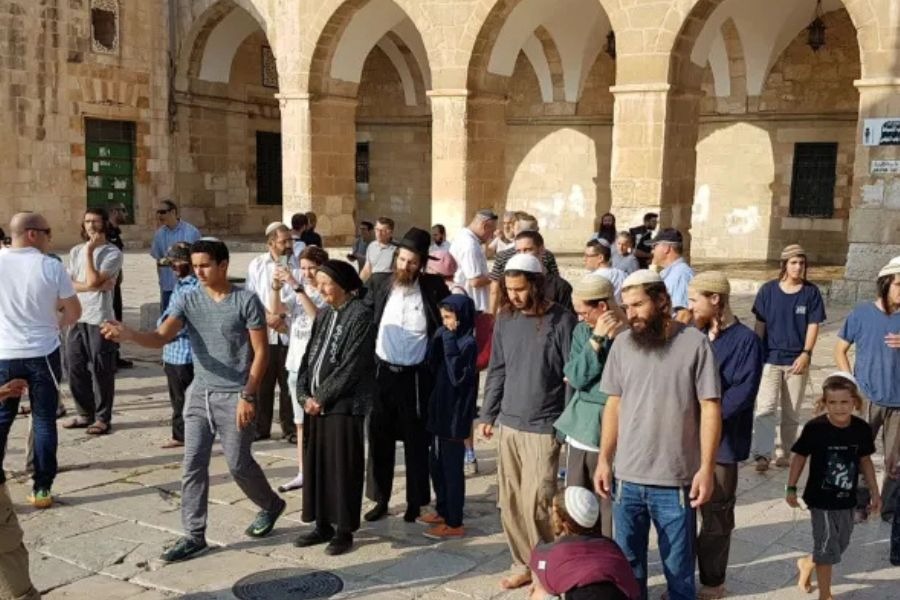 280 اقتحامًا صهيونيًا للأقصى خلال 2025