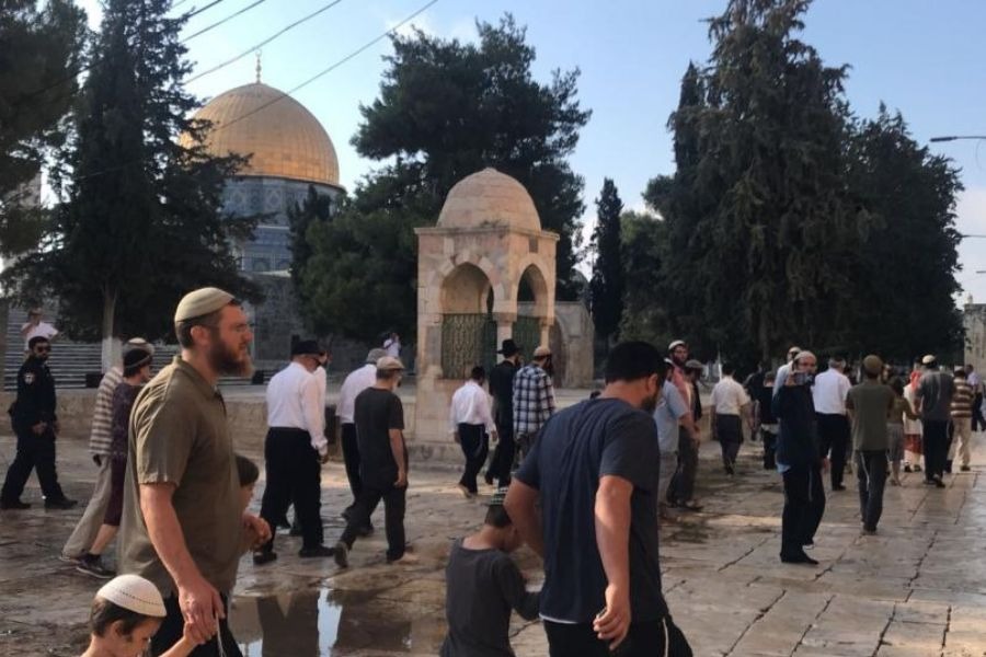 160 مستوطنًا يقتحمون المسجد الأقصى.. ودعوات لتكثيف الرباط في باحاته خلال شهر رمضان