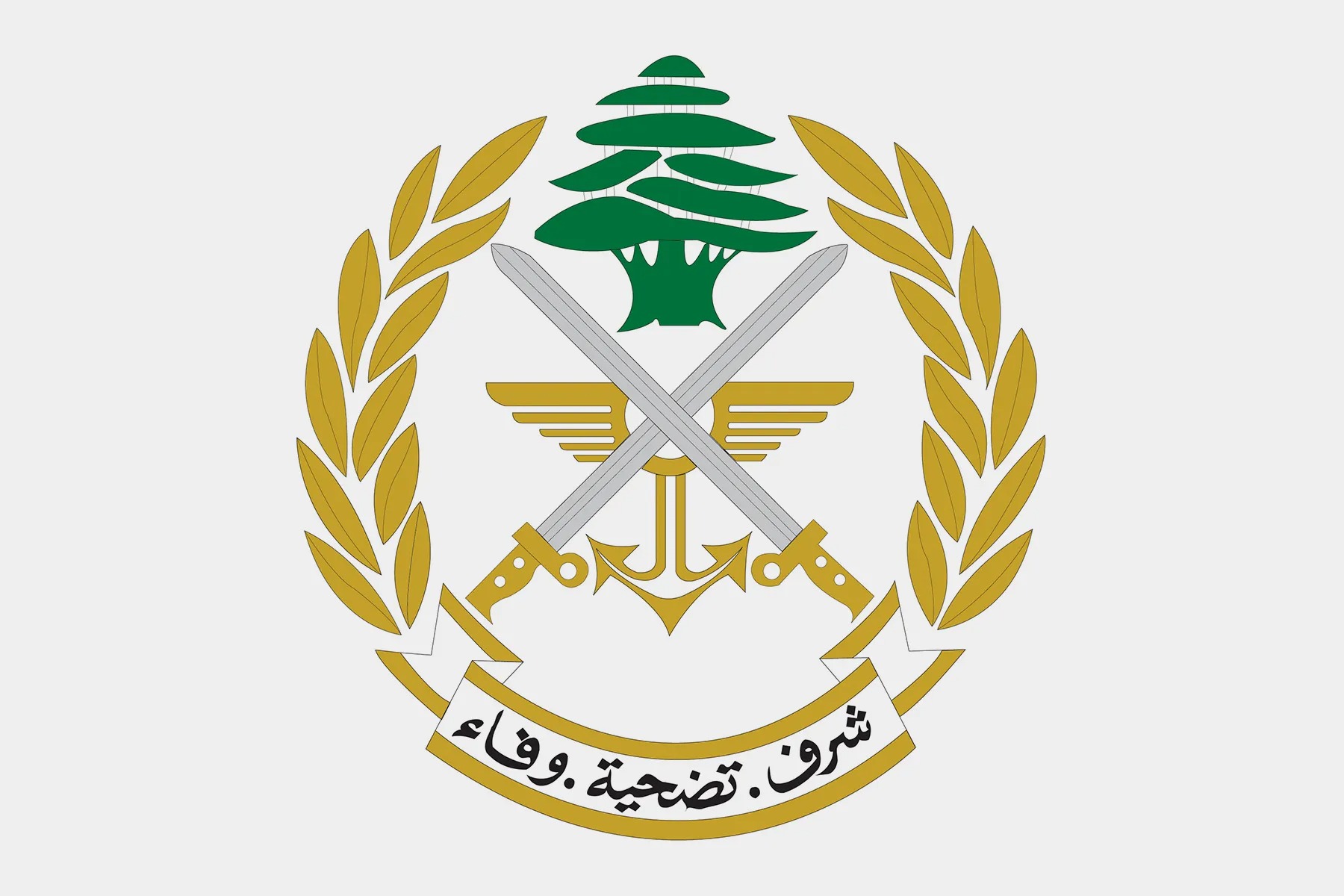 قيادة الجيش: نفذنا إعادة تموضع في بعض النقاط الحدودية في ضوء استمرار الاعتداءات