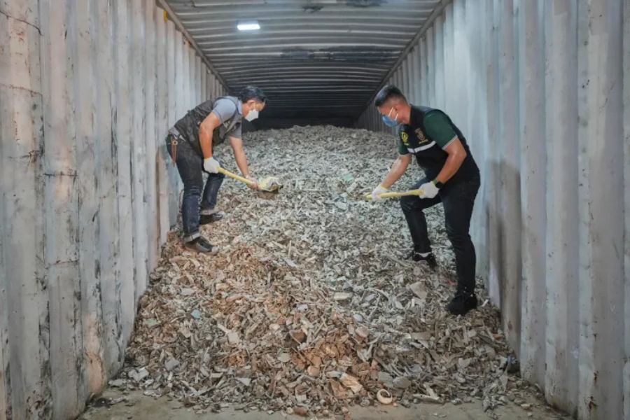 الولايات المتحدة تصدّر نفايات إلكترونية سامة لدول نامية.. كارثة بيئية وصحية متنامية