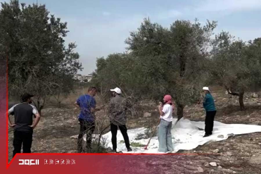 من الشمال إلى الجنوب.. أرضٌ واحدة وشعبٌ واحد