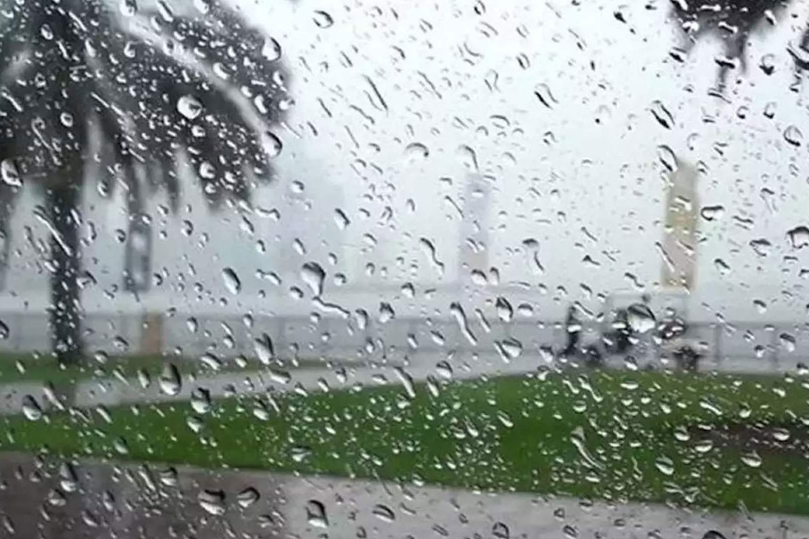 منخفض جوي يضرب لبنان.. أمطار غزيرة وانخفاض في درجات الحرارة وثلوج على 2200 متر