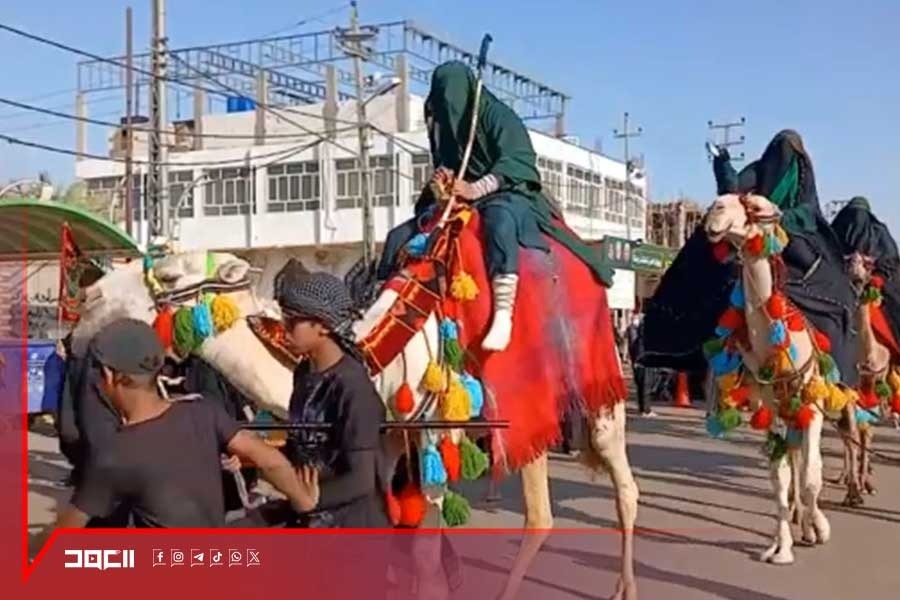 حملة أنصار القدس في رحاب كربلاء والنجف..  رفضٌ لمسارات التطبيع وبيع القضية الفلسطينية