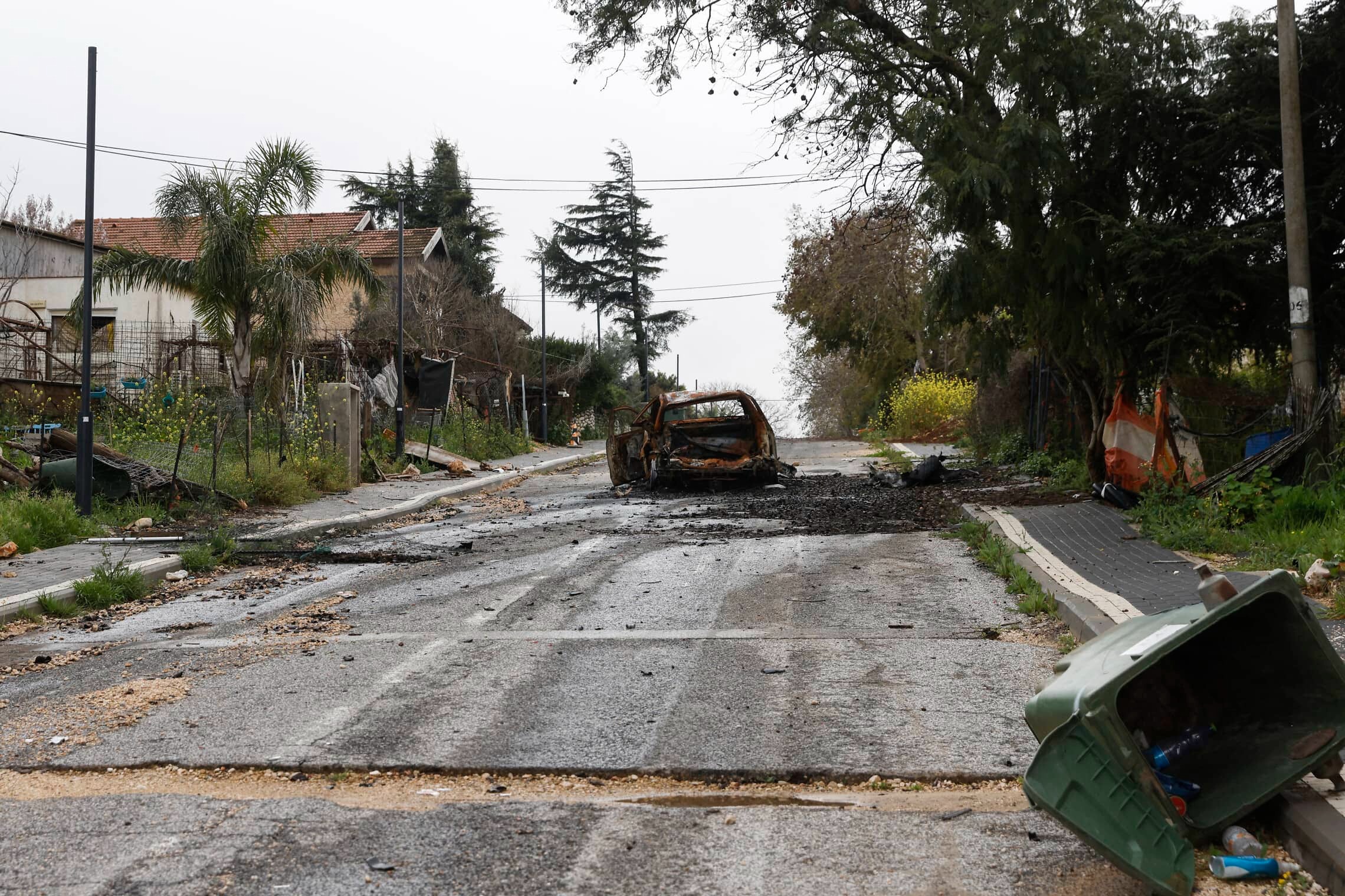 نصف مستوطني 