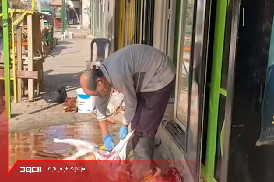 توزيع الاضاحي في الشمال من ابرز مظاهر عيد الاضحى