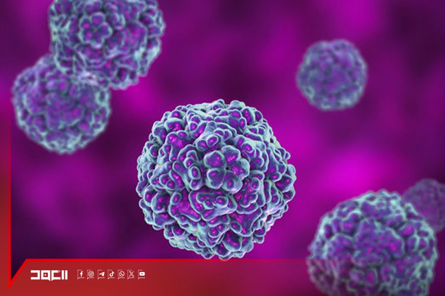 فيروس كوكساكي: الأعراض والعلاج