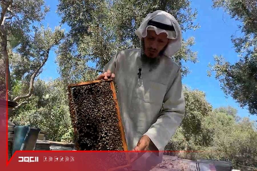 القصف يطاول مناحل غزة.. ونحالون يكافحون لإنقاذ ما تبقى