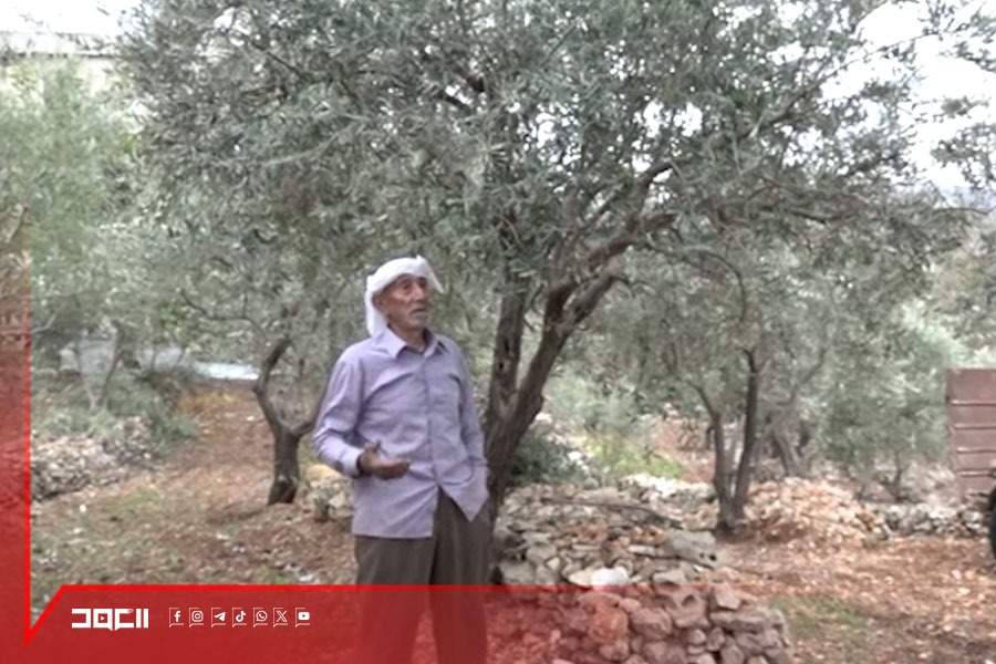 بعد أشهر من الشحّ .. الأمطار تثلج قلوب المزارعين وتعيد الأمل للحقول