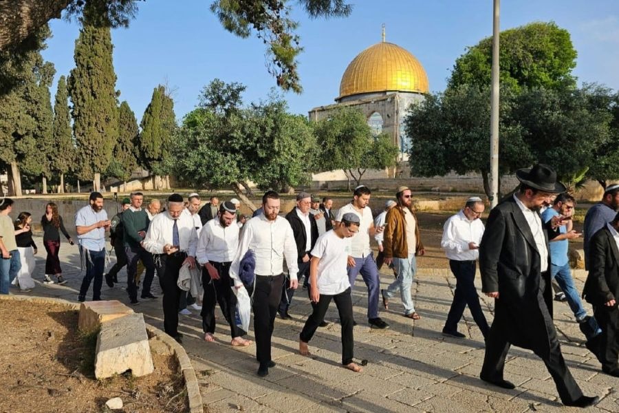 مئات المستوطنين يقتحمون المسجد الأقصى وقيود مشددة على المصلين