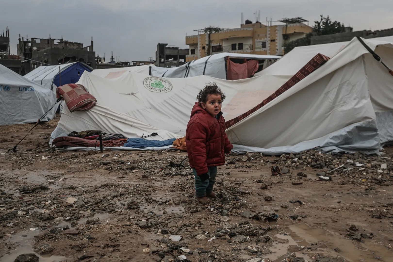 الأونروا: الاحتياجات الإنسانية هائلة في ‎غزة