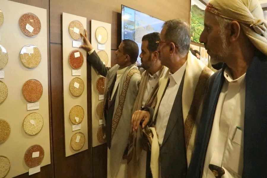 الثروة الزراعية اليمنية.. جهود لتطوير البذور وتعزيز الاكتفاء الذاتي رغم الحصار