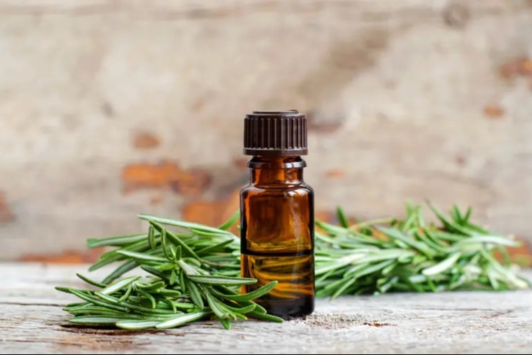 بديل المعطرات الكيميائية: الطريقة الصحيحة لتعطير المنزل باستخدام إكليل الجبل