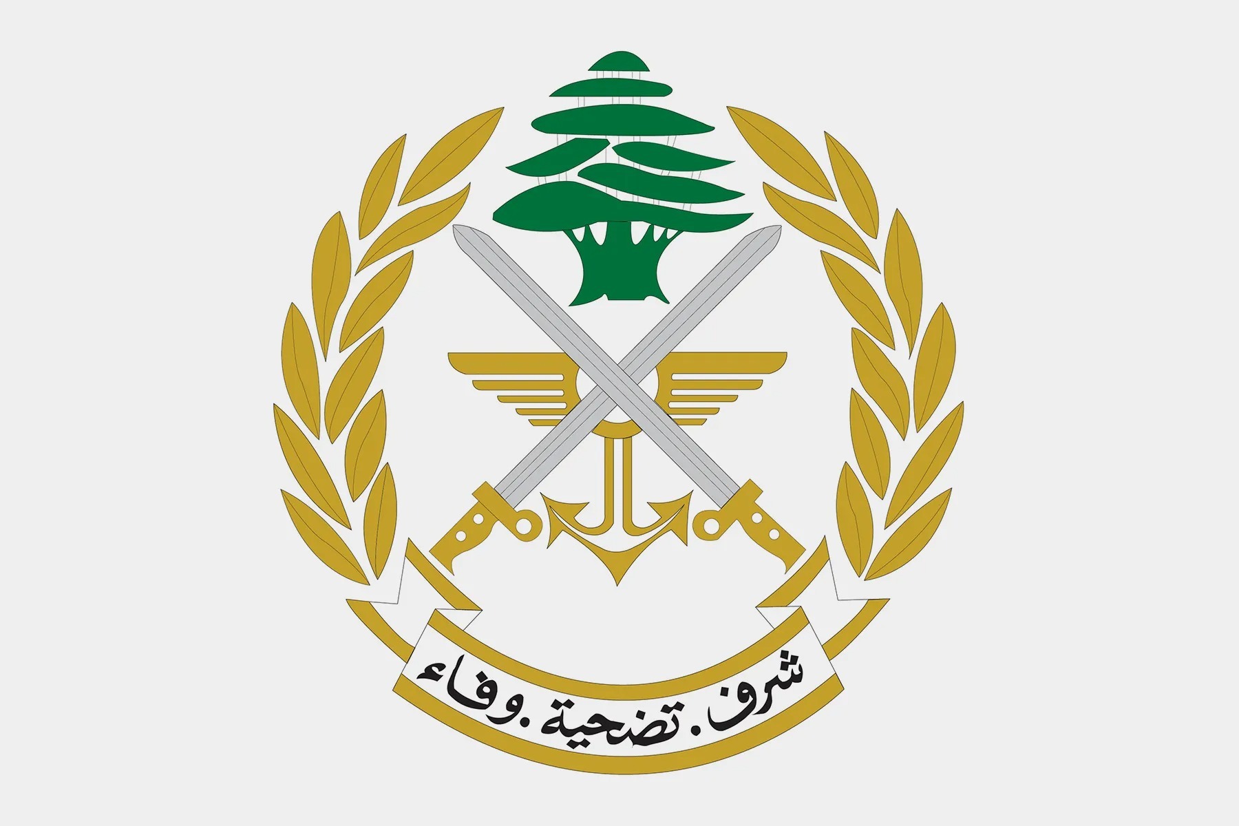 الجيش: قوة للاحتلال ألقت قنابل صوتية في محيط نقطتنا ثم غادرت إثر استنفار بين الجانبين