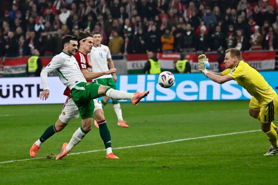 آيرلندا تفوز على المجر بهدف قاتل وتتأهل للملحق الأوروبي لتصفيات المونديال