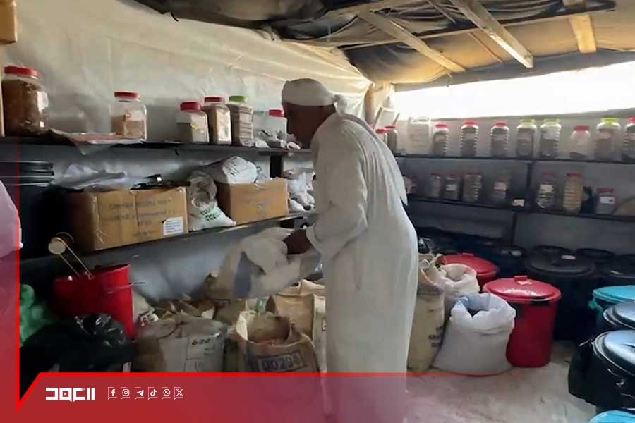 بنك البذور... فتاة ووالدها يعيدان إحياء ذاكرة الأرض في غزة