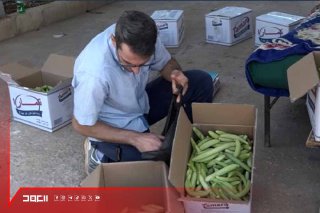 حيث لا تنمو سوى النباتات العنيدة .. تولد المقتى