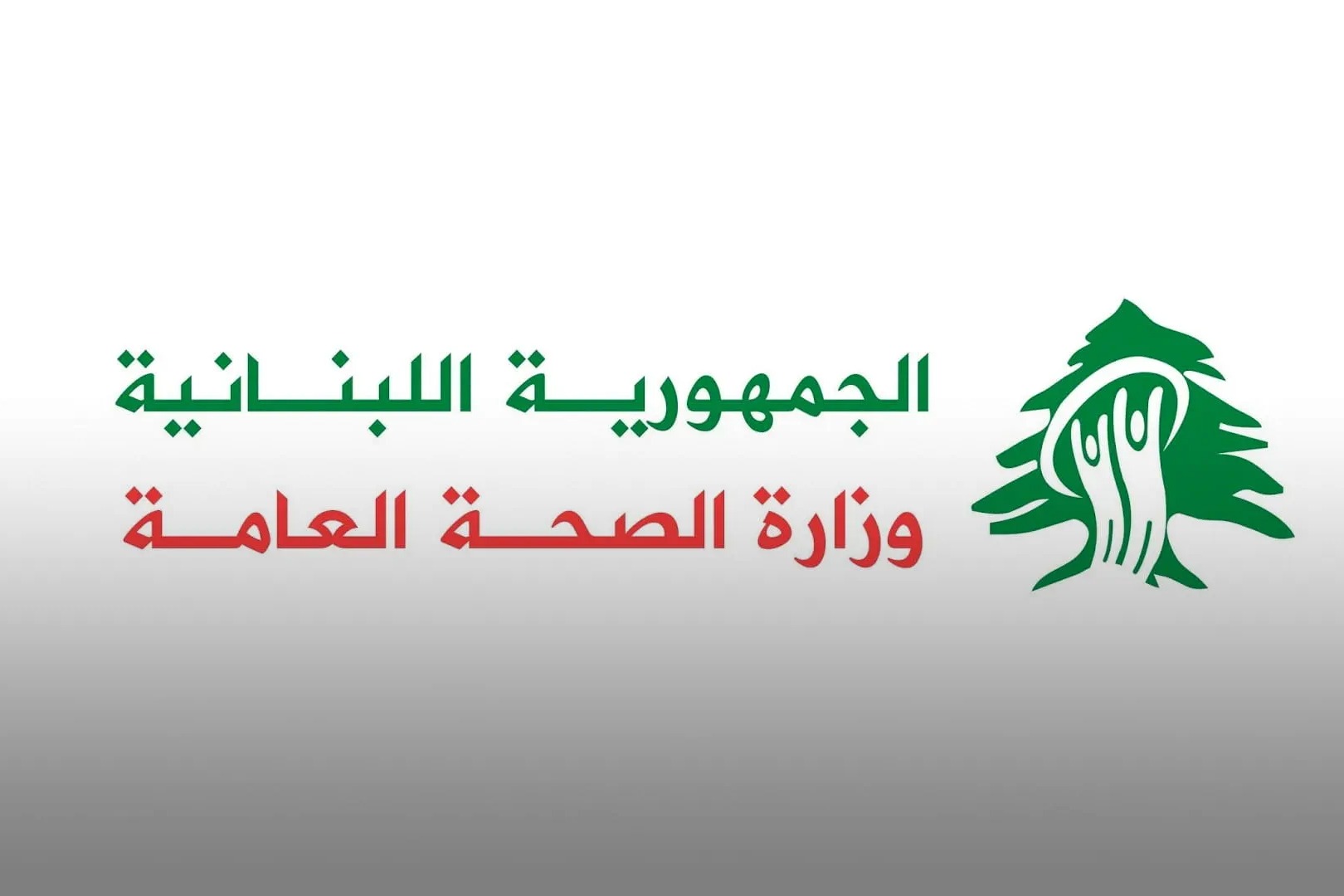 وزارة الصحة اللبنانية: استشهاد وجرح مسعفين في طيردبا وجويا.. العداد لا يتوقف