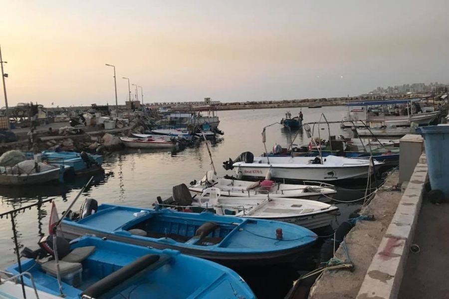 تأسيس اللجنة المركزية للثروة السمكية في اللقاء الوطني للهيئات الزراعية