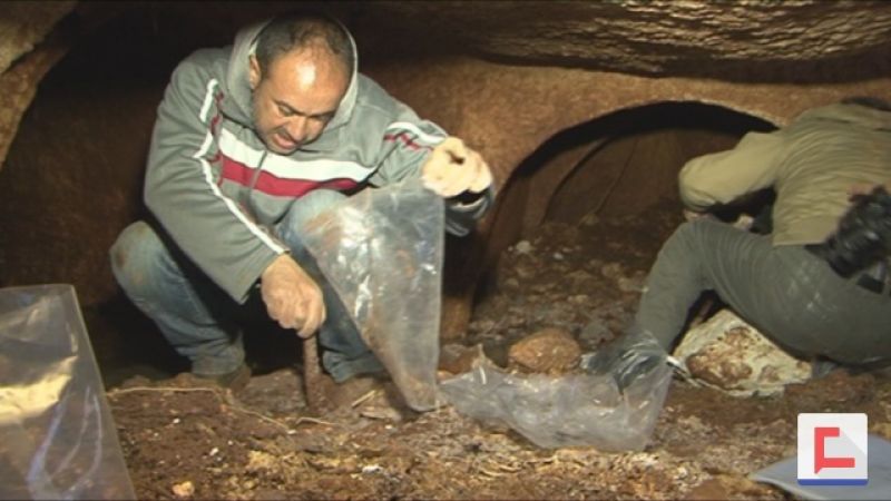 بالفيديو: 