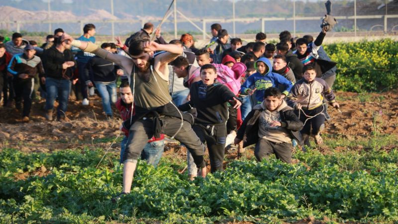 فلسطين .. 