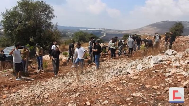 حملة تشجير لقطاع الشباب في 