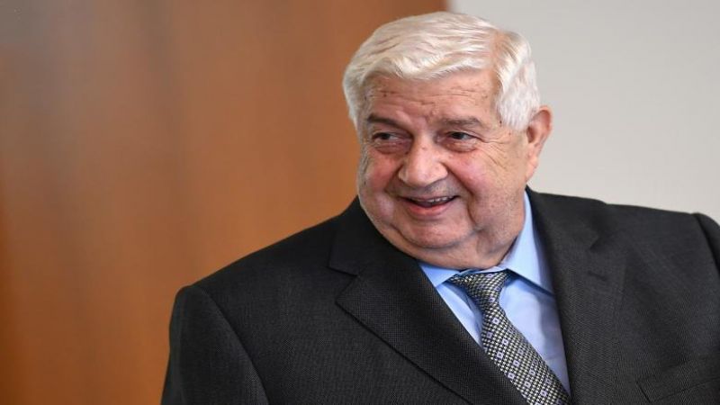 بالفيديو .. وليد المعلم: