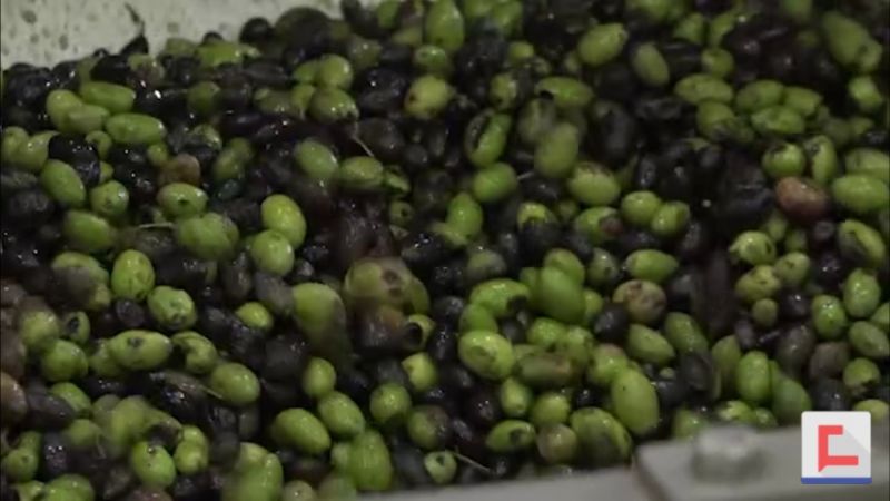 معاصر الجنوب لا زالت إلى اليوم.. ترشح زيتاً
