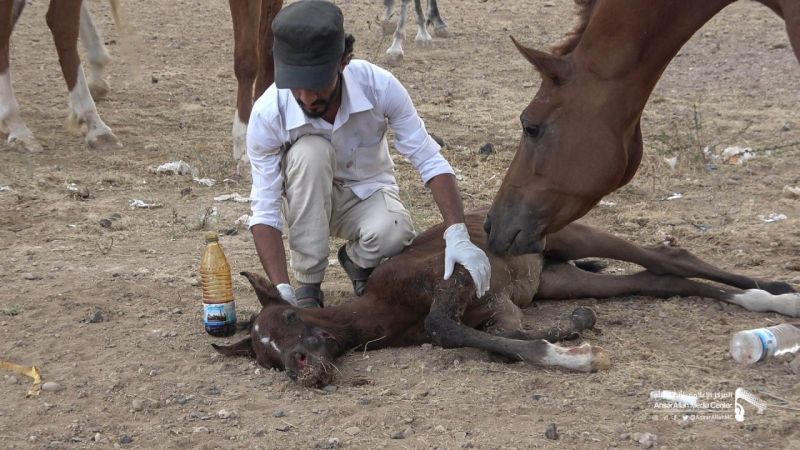 العدوان السعودي يُصعّد غاراته في صنعاء والحديدة وصعدة والجوف ومأرب