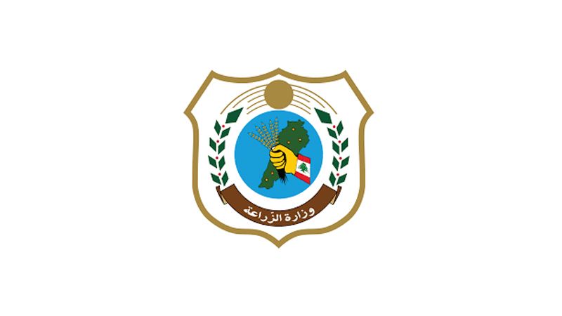 منعًا للاحتكار .. لائحة موحّدة بأسعار الفاكهة والخضار