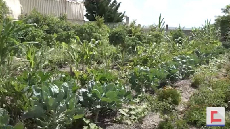 في زمن الحصار .. قرى جنوبية تطبّق نموذج 