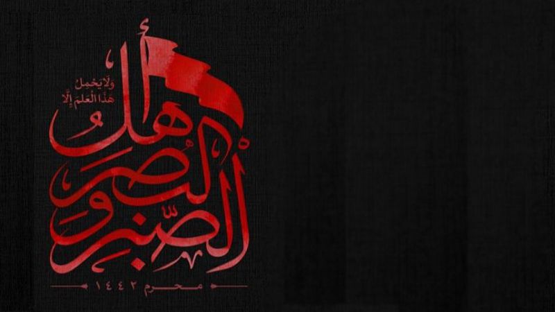 تجربة عملية في البصيرة الحسينية: المقاومة كنموذج
