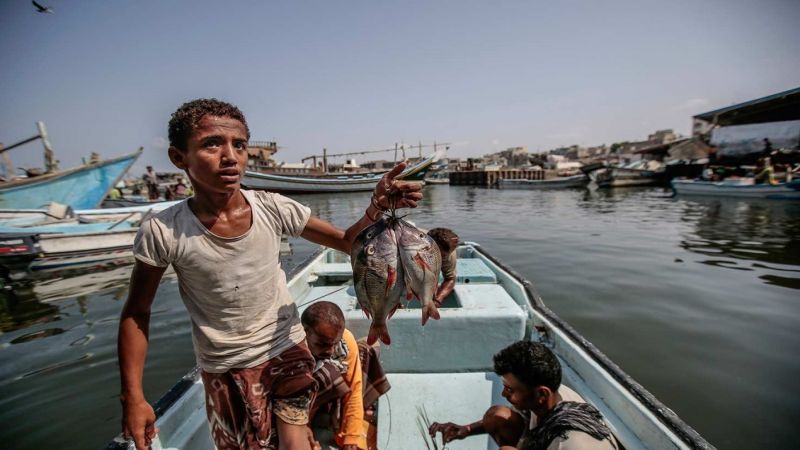 حتى سمك اليمن لم يسلم من العدوان السعودي