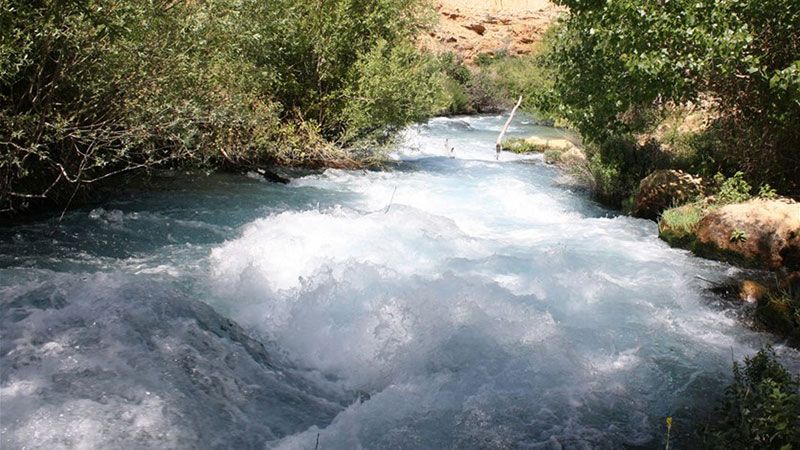 نهر العاصي.. ثروة مبددة