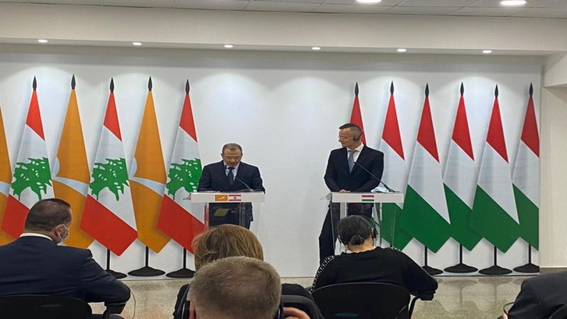 باسيل: بإمكان أوروبا حجز الأموال المهرّبة قبل وبعد 17 تشرين