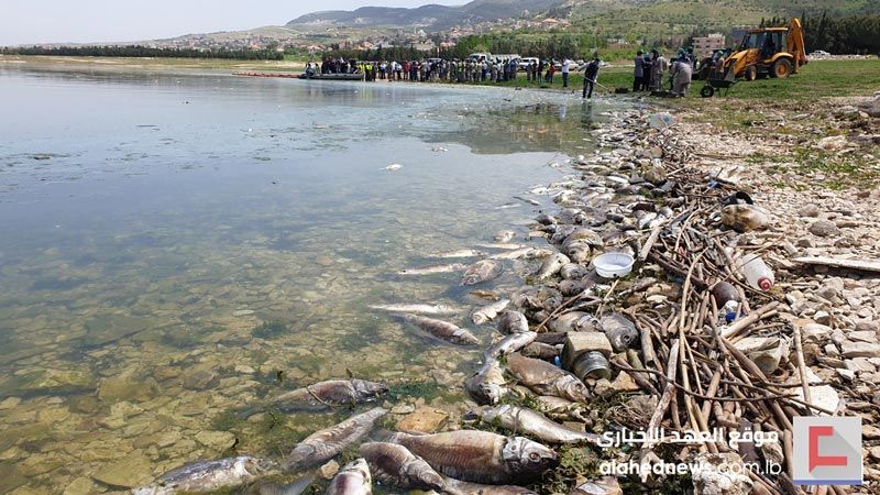 وزير الزراعة من بحيرة القرعون: أمننا الغذائي مهدد رغم امتلاكنا ثروة سمكية ومائية هامة