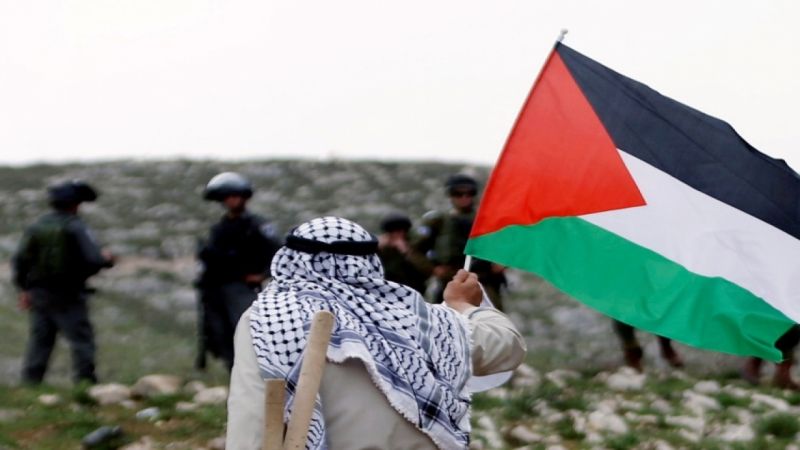 عندما تفقد