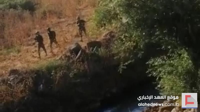 قوات العدو تعتدي على منتزهات الضفة الشرقية لنهر الوزاني