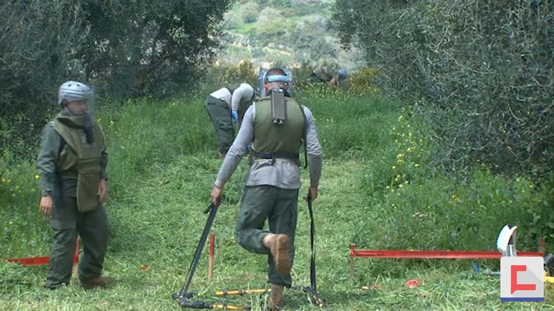 "شجرة مكان كل قنبلة عنقودية".. حلقة من إنجازات المعادلة الذهبية