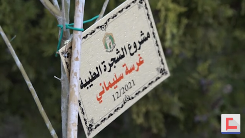 "غرسة سليماني" تنطلق في الجنوب