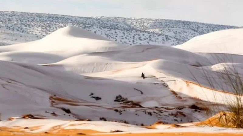 صحراء الجزائر بيضاء